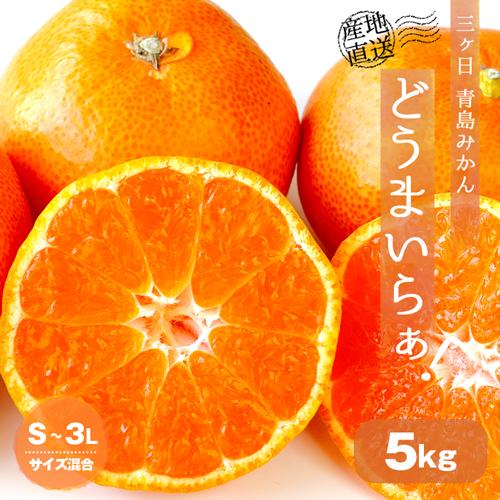 送料無料 みかん 三ケ日みかん 三ヶ日みかん ミカン 5kg 三ヶ日 三ケ日 青島 どうまいらぁ！ 小粒 S 3L 産地直送 ミカン 蜜柑 5キロ 静岡県 小粒 小玉 大粒