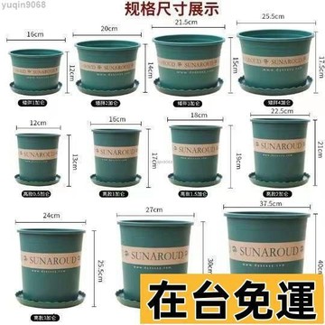 🌱台灣出庫🌱 花盆塑料特價清倉批髮大陽臺綠蘿小盆栽託盤特大號加侖樹脂多肉 6TBG
