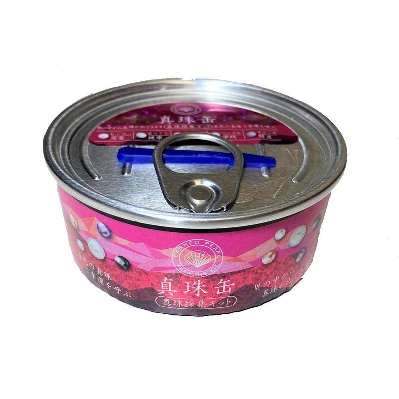 真珠缶おもちゃ 単品真珠採集キット HNA ギフト雑貨 知育玩具 グッズ 通販 通販 LINEポイント最大0.5%GET | LINEショッピング