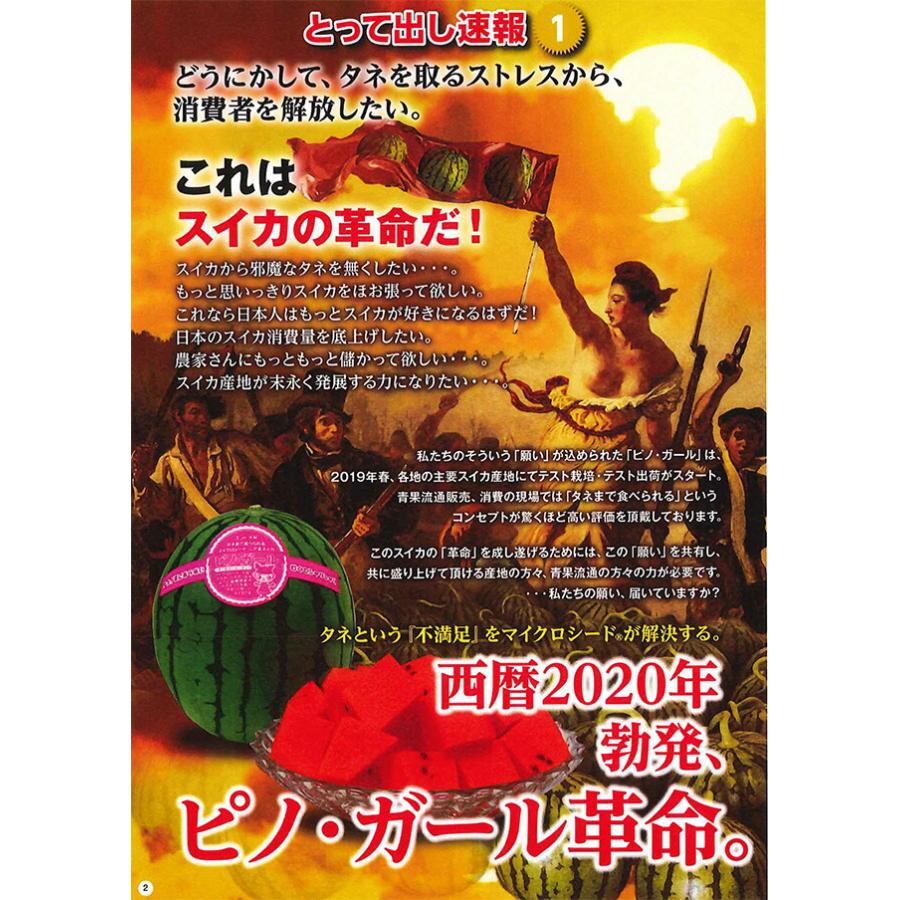 2024年予約 小玉スイカ 山形 送料無料  尾花沢スイカ 山形産 小玉敬老の日 お彼岸 西瓜 贈答用  訳あり 農産物