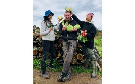 季節の野菜詰め合わせ（4～5種）と平飼い卵セット！農薬不使用だから安心安全！