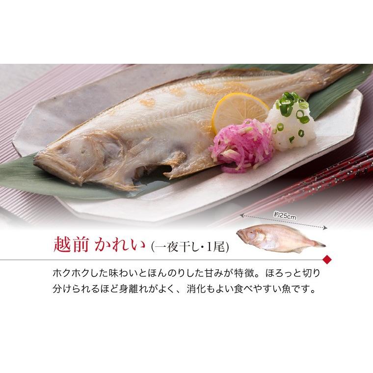 干物 5種7枚 のどぐろ 魚 干物 入＋ 西京漬け 2種(赤魚 さば) ((冷凍)) お取り寄せ 一夜干し魚 プレゼント ギフト