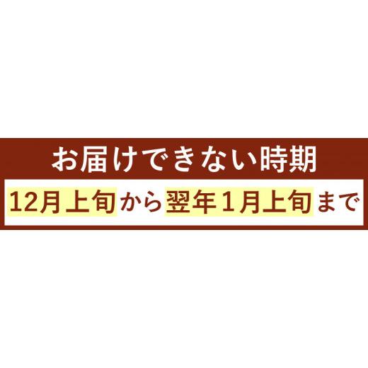 ふるさと納税 福井県 敦賀市 [076-o001] 越前がに × 1杯（茹で前重量：801g〜1100g）【お届けできない時期：12月上旬〜翌…