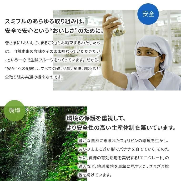 焼き芋 紅はるか 冷凍 合計500g(500g×1袋) やきいも しっとり 無添加 無着色  茨城県産 関商店 ギフト