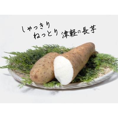 ふるさと納税 長谷川さんが作った長芋（約5kg） 青森県鰺ヶ沢町