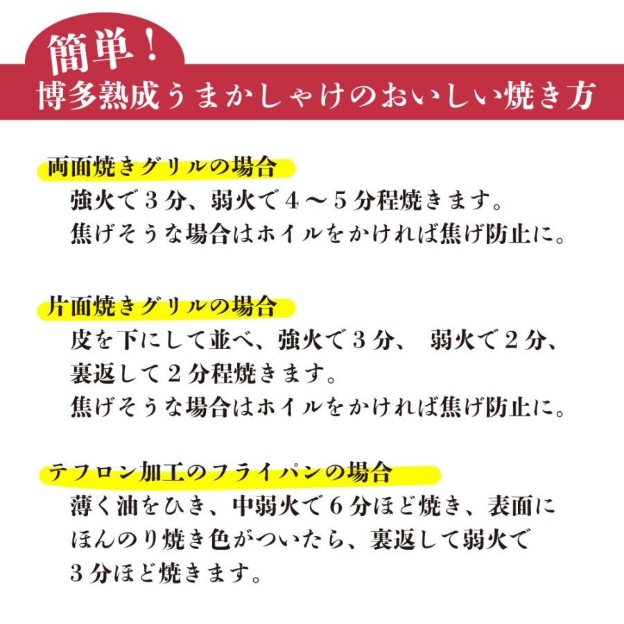 博多熟成うまかしゃけ 3枚入り3パック 博多 まるきた水産 あごおとし シャケ しゃけ 塩鮭 切り身 福岡 お土産 特産品