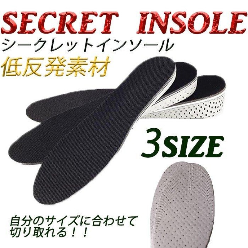 新品 送料無料 インソール シークレット 中敷き 3cm 男女兼用 通気性 低反発 サイズフリー