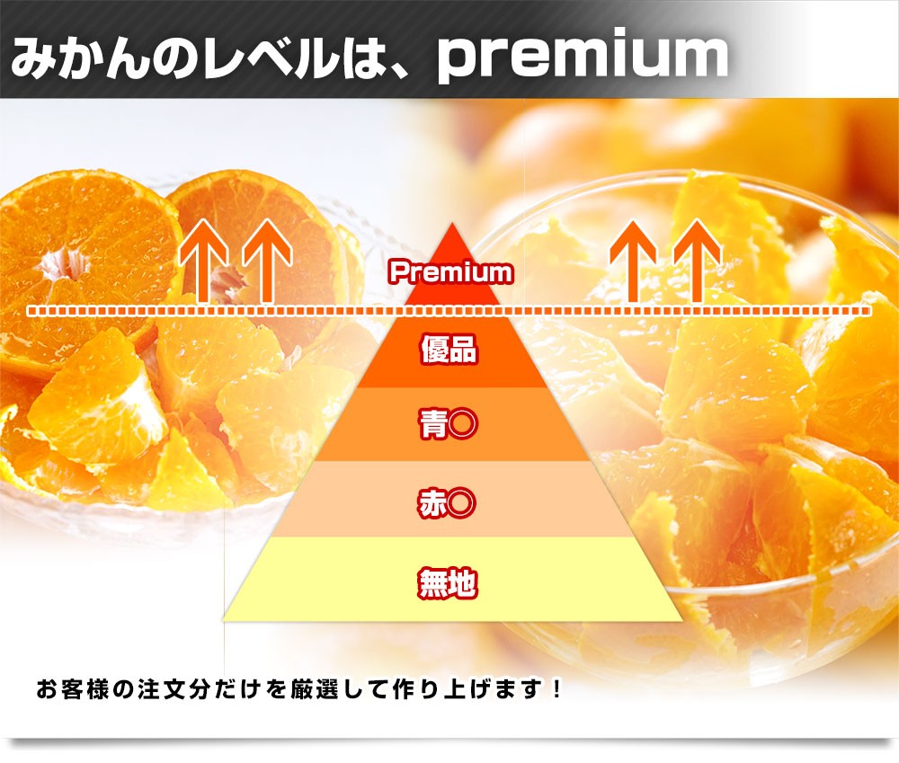 愛媛県より産地直送 JAにしうわ 日の丸プレミアムみかん ゴールド千両（豪琉頭千両）　ＭからＳサイズ　5キロ（50から70玉前後）　送料無料 蜜柑　ミカン