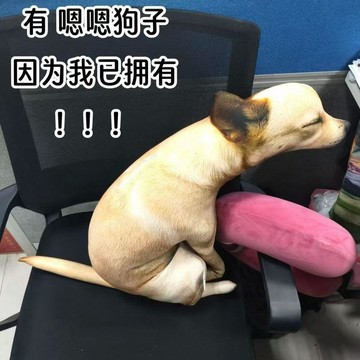 狗抱便便抱枕 超萌呆狗 厭世狗 無奈狗 抱枕 沙皮狗 交換禮物 靠墊 立體抱枕 狗玩偶 沙發抱枕 抱枕沙發