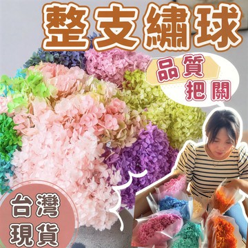 【璟采職人】單支 整支永生繡球 安娜繡球 繡球花 花材 DIY浮游花 不凋花 永生花 仿真花 乾燥花花材 捧花 拍照道具