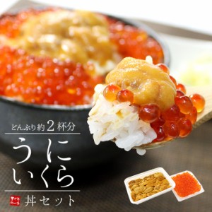 無添加生ウニ いくら醤油漬け 絶品海鮮丼セット どんぶり約2杯分 yd5[[ウニイクラセット-1p]