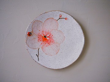 手感小圓盤・臺灣萬代蘭系列