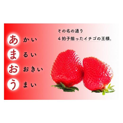 ふるさと納税 福岡県 久留米市 福岡県産 あまおう 合計3,360g (2月・3月・4月の3回 1,120g(280g×4パック))