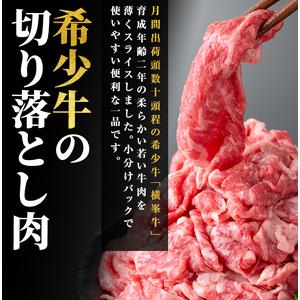 ふるさと納税 鹿児島県志布志市産(国産交雑種) 横峯牛の切り落とし肉(計700g・175g×4P) b0-166 鹿児島県志布志市