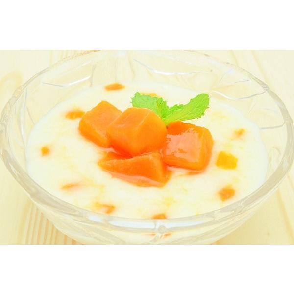 マンゴー 冷凍マンゴー 500g×1パック カットマンゴー 冷凍フルーツ ヨナナス