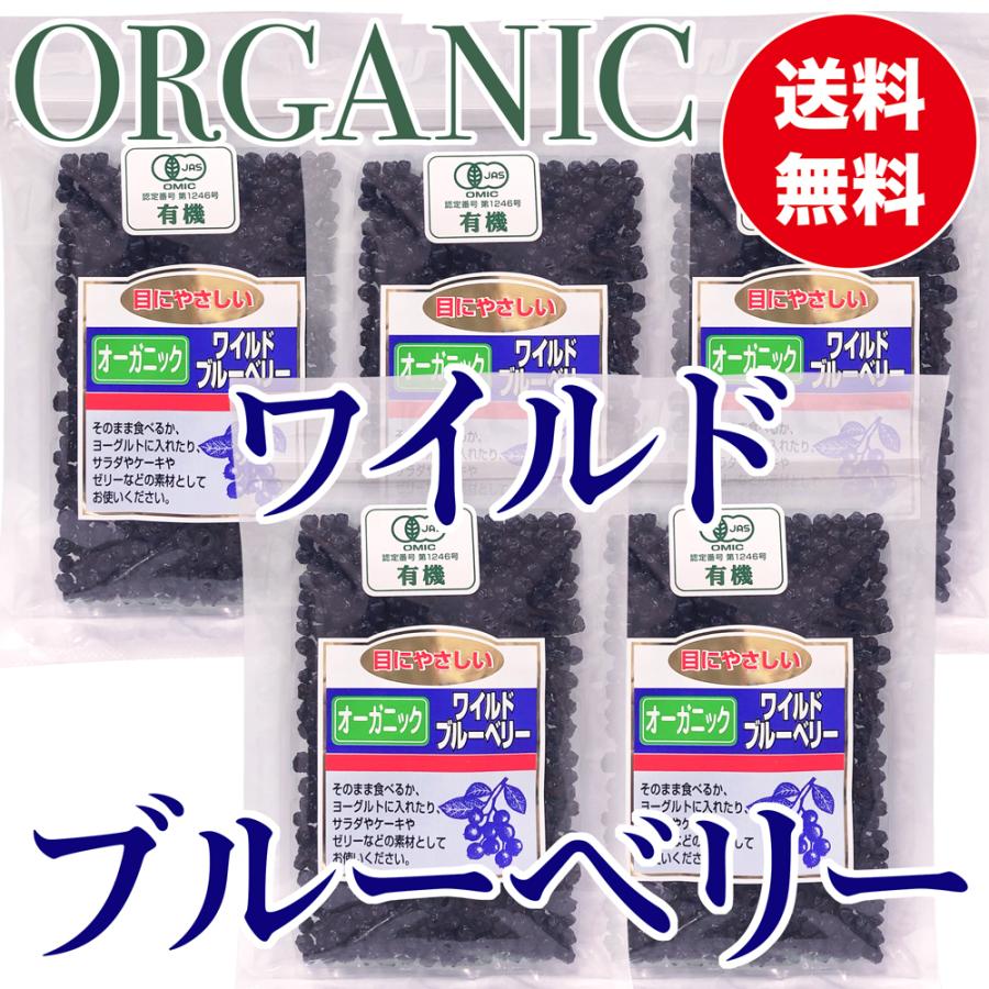 オーガニック ワイルドブルーベリー 100g ×５袋　有機ドライブルーベリー 乾燥フルーツ