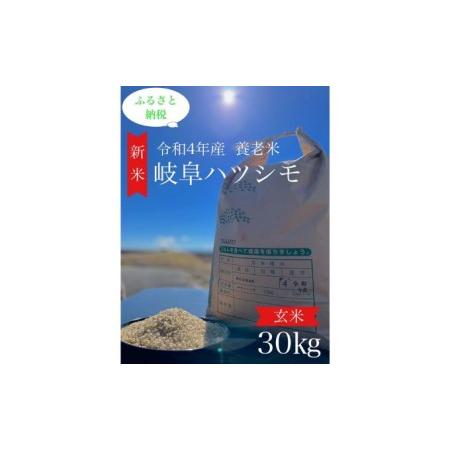 ふるさと納税 令和4年産岐阜ハツシモ　30kg 玄米 岐阜県養老町