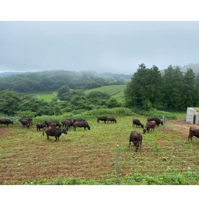 ふるさと納税 井原市 ローススライス約500g