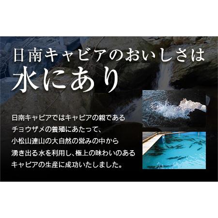 ふるさと納税 ≪数量限定≫スターレットキャビア(計20g)　魚　魚介　国産 CD29-21 宮崎県日南市