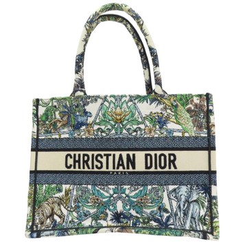 Dior 迪奧 多色 帆布 Etoile de Voyage Book Tote 手提包 【二手名牌BRAND OFF】