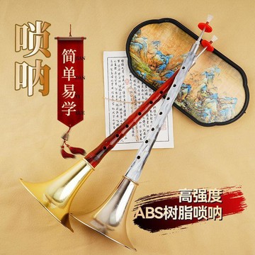 【熱銷爆款】嗩吶專業樂器全套初學者成人兒童入門D調降B調音樂學生吹奏喇叭