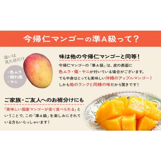 ふるさと納税 沖縄県 今帰仁村 今帰仁マンゴー 準A級１kg 国産 沖縄