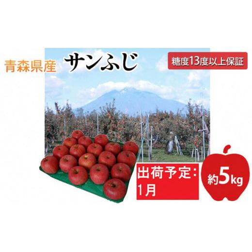 ふるさと納税 青森県 平川市 1月  サンふじりんご「特A」約5kg 糖度13度以上(14〜20玉程度） 