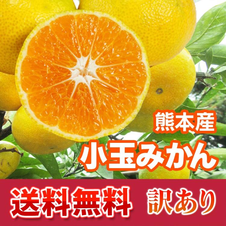 みかん 熊本産 訳あり 小玉 温州 ５kg 送料無料   九州 熊本 早生 極早生 みかん 柑橘  栄養 効能 カロリー 旬 甘い こたつ