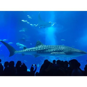 樂桃沖繩王子智能飯店自由行4日｜含稅/贈早/贈eSim/租車享優惠_26ZPOKAF42