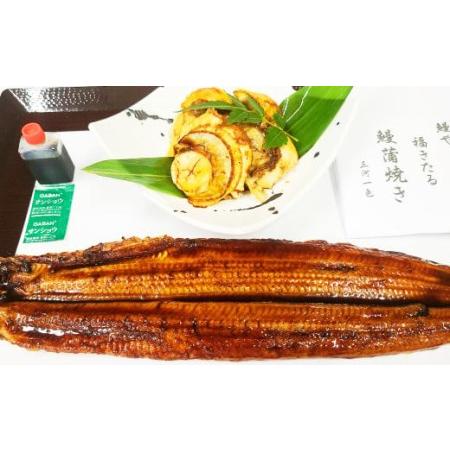 ふるさと納税 三河一色うなぎ蒲焼 2尾 大粒帆立 (肝焼き付き) うなぎ 蒲焼 愛知県幸田町