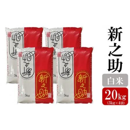 ふるさと納税 令和5年産新米新之助 白米 20kg（5kg×4袋） [C407] 新潟県柏崎市