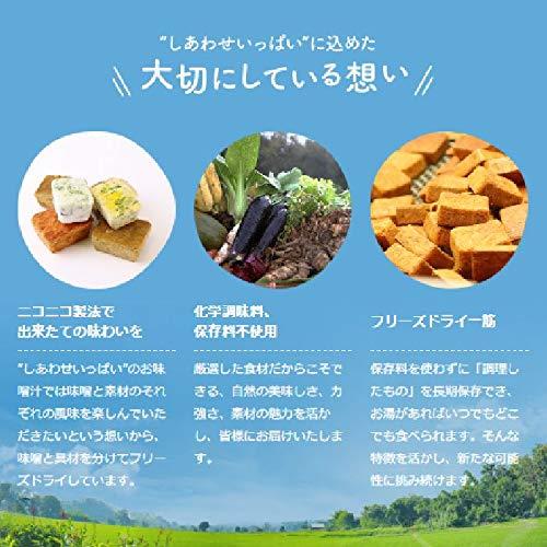 NATUREFUTURe　生姜スープ 10食セット