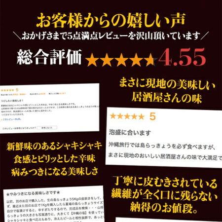 島らっきょう 塩漬け 塩らっきょう キムチ味 250g