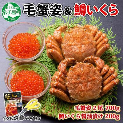 ふるさと納税 弟子屈町 毛蟹 2尾 700g 鱒いくら醤油漬け 200g 蟹ハサミガイド 北海道 弟子屈 1372