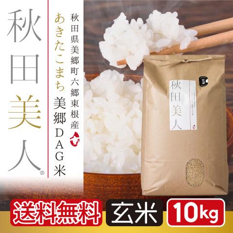 玄米 10kg お米 あきたこまち 送料無料 秋田県産 一等米 秋田美人 令和３年産 うるち米 ごはん