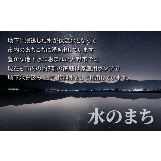 ふるさと納税 福井県 大野市 こしひかり 3kg×6回 計18kg「エコファーマー米」水のまちのお米