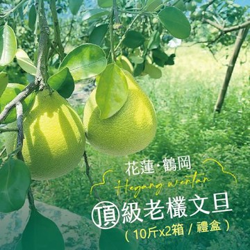 【杰市優果】花蓮鶴岡精選頂級50年老欉文旦禮盒10斤x2箱(10-15粒/箱)