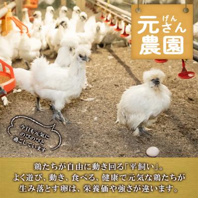 ふるさと納税 佐伯市 元さん農園 平飼い烏骨鶏のたまご (計10個)