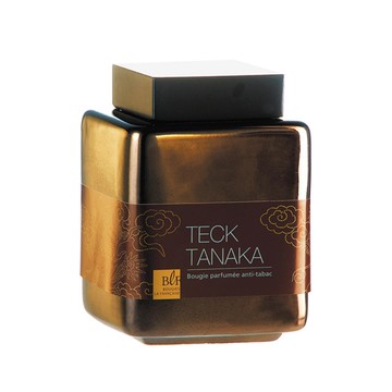 沉醉靈魂系列蠟燭-麝香柚木285g