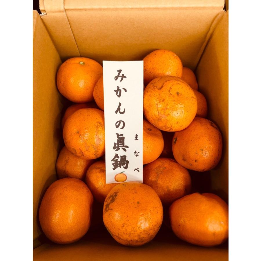 お歳暮　みかんの香果園　鹿児島産　Mサイズ　3kg