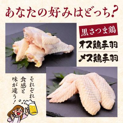 ふるさと納税 南九州市 黒さつま鶏手羽食べ比べ30本セット(約2kg)