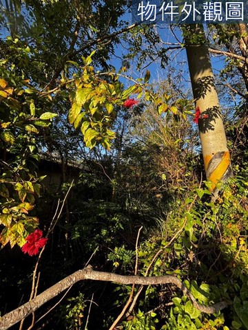 西湖～稀有臨路買地送屋丙建+農地｜苗栗縣西湖鄉新五湖段