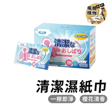 清潔濕紙巾 清潔紙巾 ★隔日到貨★ 羽絨服濕紙巾 衣物濕紙巾 織品濕紙巾 沙發濕紙巾 清潔 擦拭紙巾 濕紙巾