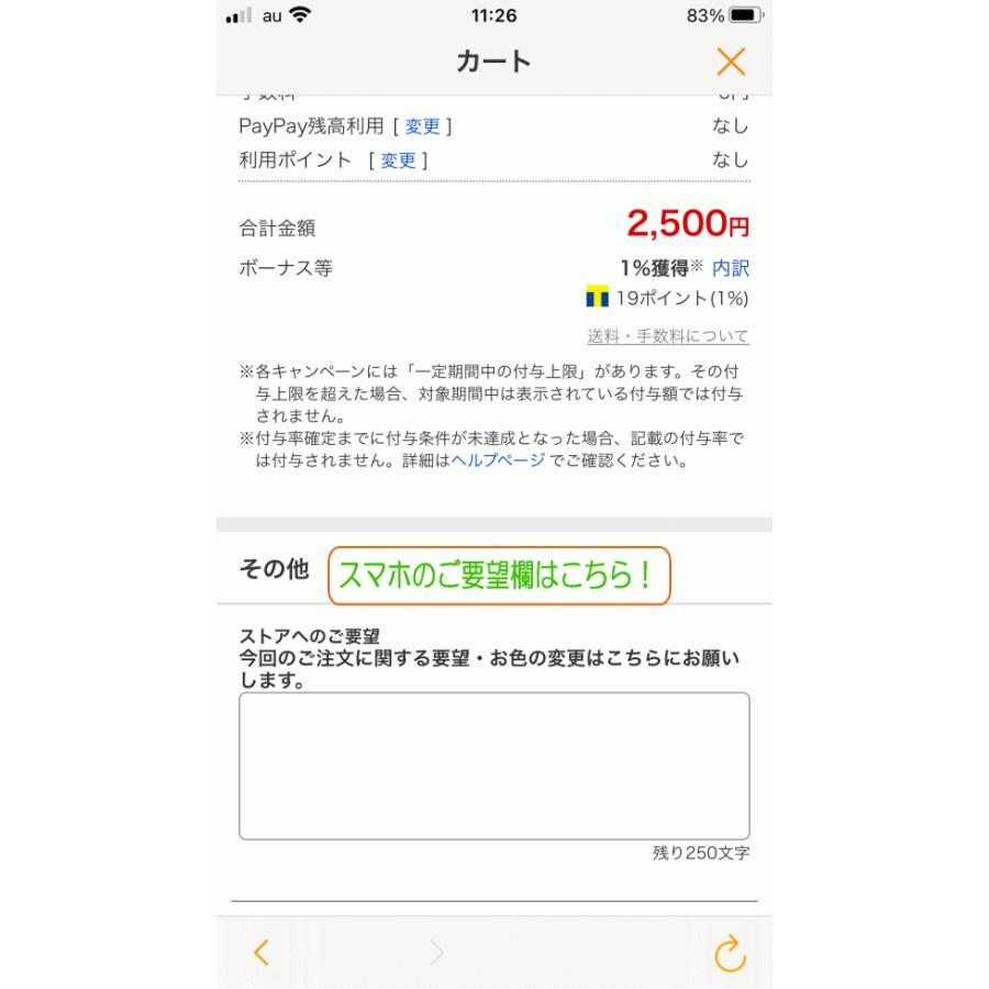 オパール毛糸で編むまっすぐに編むジレ ベスト Opal毛糸 opal毛糸 セット 編み物キット 中細