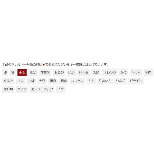 桜井食品 国内産ツイストパスタ 300g×20個