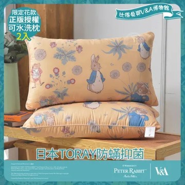 【PETER RABBIT 比得兔】比得兔與V&A博物館 日本TORAY防蹣抑菌可水洗枕-友時光(2入/台灣製/抗菌枕)