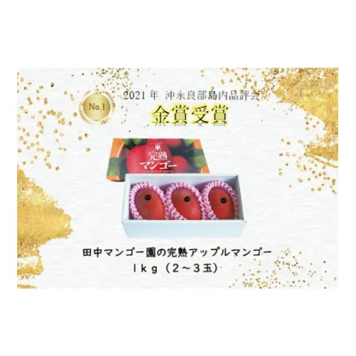 ふるさと納税 鹿児島県 和泊町 沖永良部完熟アップルマンゴー2〜3玉で1kg 