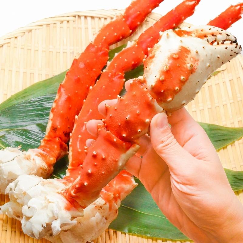 タラバガニ たらばがに 超特大 極太 7L 1.3kg ×2肩 セット 合計 2.6kg 前後 足 脚 肩 セクション 正規品 かに カニ 蟹 ボイル 冷凍 かに鍋 焼きガニ 海鮮おせち