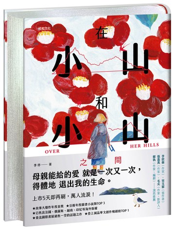 在小山和小山之間【限量│精裝銀邊典藏版】：故事大爆炸年度首獎之作