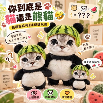 台灣出貨 搞怪西瓜帽貓咪熊貓玩偶 大眼仿真貓毛絨公仔 可愛熊貓變裝娃娃 臥室床頭療癒擺飾 小挂件 生日禮物 朋友交換禮物